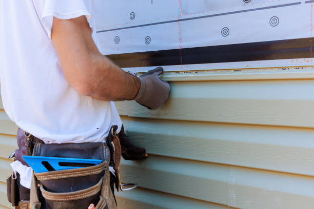 Affordable Vinyl Siding solutions in Litchfield, IL